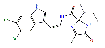 Kottamide D